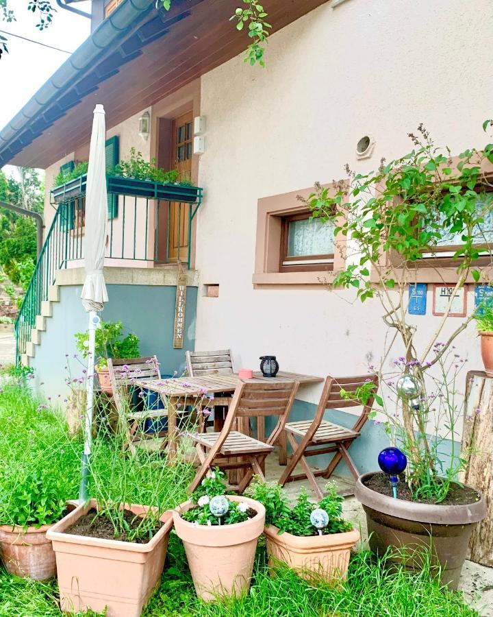 Ferienwohnung Diana Sexau Zewnętrze zdjęcie